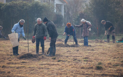 Chantier participatif, entretien des haies